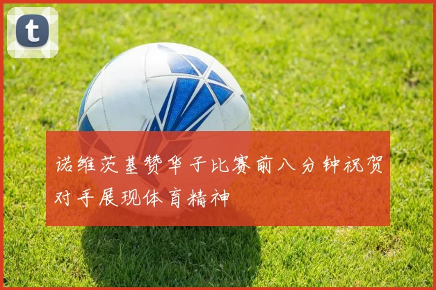 诺维茨基赞华子比赛前八分钟祝贺对手展现体育精神
